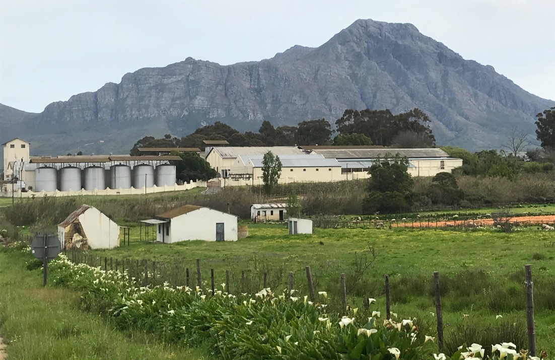 Tulbagh winery